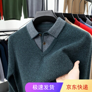 CEO雅戈爾羊絨衫男加厚翻領(lǐng)毛衣休閑中老年假兩件套打底衫爸爸裝 6919夜蘭 均碼 165/84A【100-120斤】