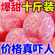 【爆甜】正宗紅富士蘋果當(dāng)季新鮮冰糖心脆甜紅蘋果水果批發(fā)一整箱 買5斤送5斤到手凈重8斤裝 精選大果【果徑70-75mm】