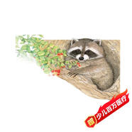 蝸牛小書坊：森林報(bào)·春