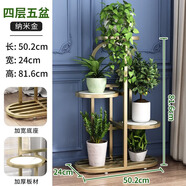 思故軒（SIGUXUAN）落地花架鐵藝花盆架多層陽臺客廳戶外綠蘿花架收納裝飾架爬藤花架 H9085納米金【長50寬24高81