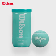 Wilson威爾勝2025全新配色罐裝網(wǎng)球2只裝 知更藍(lán)色