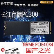 致態(tài)(ZhiTai)長江存儲拆機512G1T NVMe M2 TiPlus5000 7100拆機95成色 長江存儲 PC300 512GB