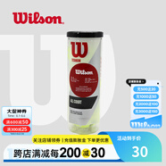 威爾勝（Wilson）美網(wǎng)專業(yè)比賽賽事用球上海大師賽全場地練習(xí)訓(xùn)練有壓網(wǎng)球罐裝球 【全場地訓(xùn)練用球】WRT1021 有壓球