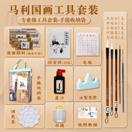 馬利國畫顏料初學(xué)者套裝少兒興趣中國畫專業(yè)水墨畫成人山水工筆畫毛筆彩墨一整套水墨畫繪畫材料工具 國畫專業(yè)【十三件套】手提袋 12色  5ml
