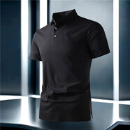 ROYAL PALM POLO SPORTS CLUB條紋polo衫男款短袖夏季痞帥高級(jí)感輕奢2025新款冰絲無痕男士t恤 黑色 XL 135斤以內(nèi)