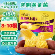 十月稻田 鮮食黃金薯 3斤 瑪莎莉紅薯 番薯 地瓜 板栗紅薯 熟制即食 早餐