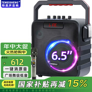 TEMEISHENG特美聲音響SL05-26廣場(chǎng)舞戶外音響K歌唱歌家用演出大功率便攜式手提藍(lán)牙音箱美聲話筒移動(dòng)手提音箱 SL06-26+單話筒+歌曲U盤