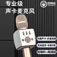屁顛蟲（Hifier） F2PRO話筒音響一體麥克風(fēng)無線內(nèi)置聲卡套裝直播設(shè)備全套手機(jī)唱歌全民K歌電視手機(jī)通用K歌寶新款 F2PRO