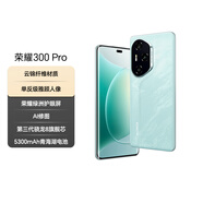 榮耀300 Pro 單反級雅顧人像 榮耀綠洲護眼屏 16+512 茶卡青 5G AI 新款 拍照手機 國家補貼
