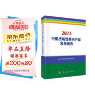 2023中國戰(zhàn)略性新興產(chǎn)業(yè)發(fā)展報告
