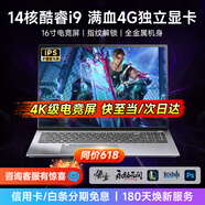 櫻本拯救系列[大學(xué)生補貼30%]2025新款筆記本電腦酷睿i9+RTX4060獨顯高性能輕薄AI編程辦公本設計游戲 【拯救系列】酷睿i9+電競獨顯+暢玩3A 16G運行+1TB超速固態(tài)+豪華禮品