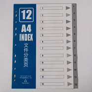 槳寧 A4分頁紙 隔頁紙索引紙活頁分頁紙文件標(biāo)簽 塑料-灰色12頁