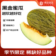 趣嘗鮮 藤上熟甘肅黑金哈蜜瓜 2枚 凈重6-7斤  新鮮水果 源頭直發(fā) 包郵