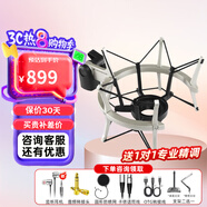 森海塞爾（Sennheiser）MK4 MK8專(zhuān)業(yè)錄音電容麥克風(fēng)大振膜家用KTV直播唱歌配音有線(xiàn)話(huà)筒 MKS4防震支架
