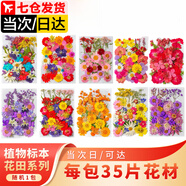 佐之尋干花材料包花田系樹葉植物標本手工滴膠永生花真花包裝飾干花妝 花田系列35片/包（10款隨機一包）