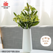 愛(ài)已裝糖素胚陶瓷花瓶擺件客廳插花輕奢高級感餐桌花瓶鮮花花瓶白色