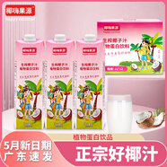 椰嗨果園生榨椰汁1000ml/1瓶正宗海南特產(chǎn)水植物椰奶果飲料椰汁 【海南島風味】椰汁1000ml*12瓶