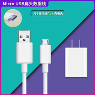 通用名校堂R5 R7早教機(jī)故事機(jī)點(diǎn)讀筆數(shù)據(jù)線充電器插頭USB充電線適配 白色USB數(shù)據(jù)線一條+充電頭 2m