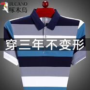 啄木鳥(niǎo)（TUCANO）短袖t恤男成熟穩(wěn)重男裝爸爸條紋上衣翻領(lǐng)體恤polo衫夏裝新款半袖T 2315藍(lán)色短袖 2XL 180/54 建議155170斤