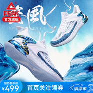 匹克態(tài)極跑鞋3.0男鞋運(yùn)動(dòng)鞋男減震耐磨透氣輕彈休閑跑步鞋子男 藍(lán)花紗（瓷風(fēng)） 40