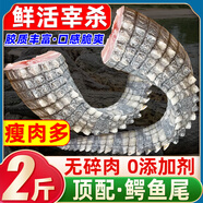 柒島鱷魚肉鱷魚尾鱷魚腿肉鱷魚腩肉鱷掌肉帶皮鱷魚生鮮肉食材凈重 2斤鱷魚尾巴肉