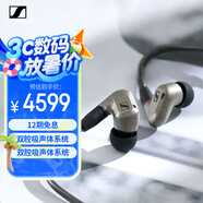 森海塞爾（Sennheiser）IE600 有線耳機(jī) 高保真HiFi音樂耳機(jī) 入耳式音樂耳機(jī) 金屬色 禮物