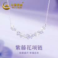 中國黃金 S925銀紫藤花項(xiàng)鏈女2025新款吊墜鎖骨鏈實(shí)用生日禮物女生送女友 紫托帕石*【經(jīng)典紅色禮盒】八倉發(fā)貨*當(dāng)/次日達(dá)