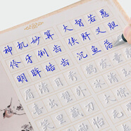 南國書香行楷字帖成人硬筆練字帖常用字魔幻鋼筆練字