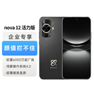 華為（HUAWEI）nova12 活力版  256GB 曜金黑 超薄潮美直屏 前置6000萬超廣角 鴻蒙智能手機【企業(yè)客戶專享】