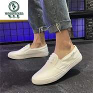 啄木鳥(niǎo)夏季透氣學(xué)生百搭一腳蹬白色帆布鞋男小白鞋男韓版休閑老北京布鞋 白色 40