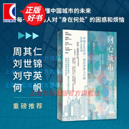 向心城市:邁向未來(lái)的活力、宜居與和諧 大國大城陸銘作品中國城市建設研究 世紀文景