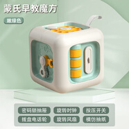 源樂堡（YuanLeBao）新品兒童蒙氏早教六面體忙碌球動動樂幼兒園寶寶益智玩具批 綠色