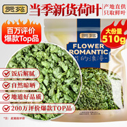 貢苑 花草茶 原味荷葉茶510g 大分量純荷葉片減養(yǎng)生濕脂肥養(yǎng)生茶包葉