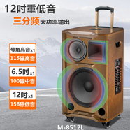 曼龍（MALONE） 三分頻戶外廣場舞音箱藍牙大功率音響重低音演出唱歌K歌移動拉桿網(wǎng)紅直播帶無線K歌話筒 M-8510旗艦(升級版)+2個話筒