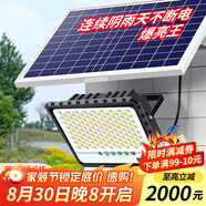博朗爾太陽(yáng)能戶外照明燈庭院燈新農(nóng)村家用路燈室外高亮防水LED投光燈