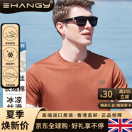 Ehangy國際奢侈品牌桑蠶絲夏季新款純色棉質(zhì)體恤男士圓領(lǐng)上衣 磚紅色 M 48(170/88A)