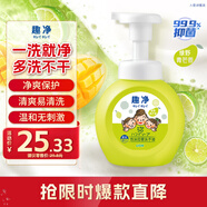 獅王（Lion）趣凈泡沫抑菌洗手液綠野青芒香250ml天然植萃保濕家庭滋潤兒童