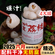 ALL DAY暮春木糖醇枇杷罐頭仲夏荔枝初夏楊梅2025年應季水果罐頭即食夏日 仲夏荔枝540g*4罐 25年新果