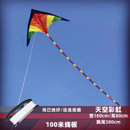 何佳功2025新款天空彩虹風(fēng)箏初學(xué)者兒童初學(xué)者微風(fēng)易飛入門保飛線 天空彩虹+100米線線板送連接器
