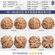 胖東來(lái)品質(zhì)南疆石核桃文玩一物一圖精品大粗筋蛤蟆頭南瓜墩四座樓 A73995 全品無(wú)修南疆石獅子頭44m