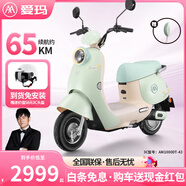 愛(ài)瑪（AIMA）鉛酸超長(cháng)續航電動(dòng)輕便摩托車(chē)女士時(shí)尚成人代步外賣(mài)電動(dòng)摩托車(chē)露娜 淺檸綠【智能互聯(lián)+1000W電機】