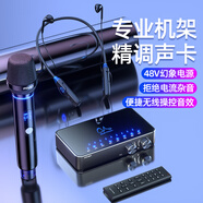 魅聲 T9S 聲卡直播設(shè)備全套唱歌錄音配音高級專業(yè)套裝電腦手機(jī)K歌麥克風(fēng)喊麥抖音快手主播帶貨 T9S（無線麥無線耳機(jī)套裝）