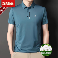 勁霸品牌男裝短袖t恤夏季薄款桑蠶絲無痕中年商務(wù)休閑翻領(lǐng)polo衫 D2297 淺藍(lán) L 170【適合120-140斤】