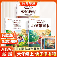 新版斗半匠快樂(lè )讀書(shū)吧六年級上冊小英雄雨來(lái)愛(ài)的教育童年高爾基人教版課本配套小學(xué)六年級課外閱讀書(shū)（3冊）