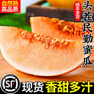 甘肅民勤蜜瓜黃河蜜甜瓜新鮮水果應當季整箱黃金脆香瓜哈密瓜 凈重6-7斤【2個瓜】【順豐京東】