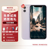 【第三方屏幕】Apple 蘋果11 iPhone 11 二手手機(jī) 二手蘋果手機(jī)  全網(wǎng)通 雙卡雙待 蘋果11 紫色 95成新【第三方屏幕】 【普通標(biāo)準(zhǔn)版】 64G