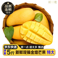 京地達海南金煌芒果 5斤巨無(wú)霸單果600g+青皮芒新鮮水果源頭直發(fā)包郵