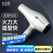 火之鳳吹風(fēng)機(jī)6600H 發(fā)廊專用大功率2400W大風(fēng)力低噪音家用恒溫護(hù)發(fā)不傷發(fā) 理發(fā)店專業(yè)電吹風(fēng)筒 6600H米蘭白 （兩檔風(fēng)）