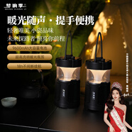 夢(mèng)響季J6戶外手提便攜式露營(yíng)氛圍燈音響 高品質(zhì)低音炮運(yùn)動(dòng)U盤可插卡可掛照明無(wú)線藍(lán)牙音箱 炫酷黑【2臺(tái)TWS串聯(lián)版】 支持藍(lán)牙/U盤/內(nèi)存卡+柔和氛圍燈