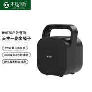 不見(jiàn)不散BV670手提戶(hù)外小型無(wú)線(xiàn)藍牙音箱低音炮大功率專(zhuān)業(yè)廣場(chǎng)舞小音響便攜式大音量擴音器家用播放器 黑色